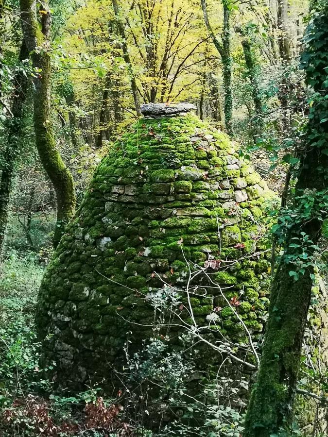 Gite Du Bouyssou Carsac-Aillac Exteriér fotografie