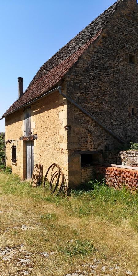 Gite Du Bouyssou Carsac-Aillac Exteriér fotografie